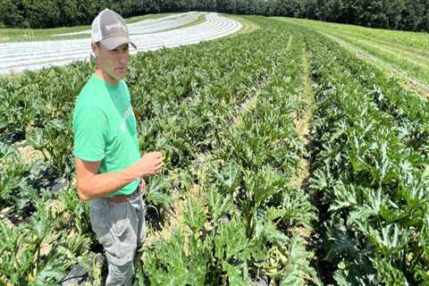 Sustainability and Conservation Initiatives by Organizations in Central Pennsylvania