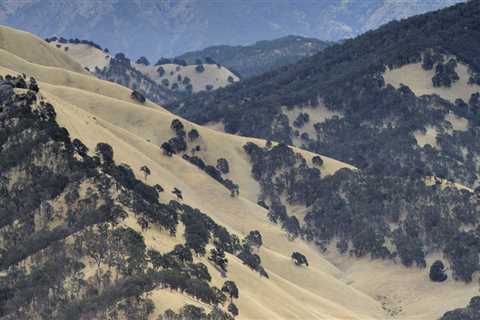 Exploring the Oldest Organizations in Contra Costa County, CA
