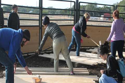 The Power of Community Volunteers in Williamson County, Texas