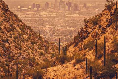 The Average Years of Experience for Entrepreneurs in Maricopa County, Arizona
