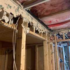 Buying A Holbrook NY Foreclosed Home With Mold Growth