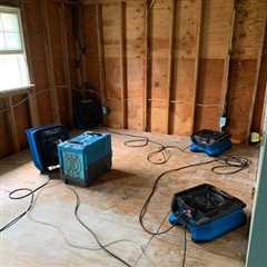 Expert Water Damage Restoration Services Long Island NY - Cat...