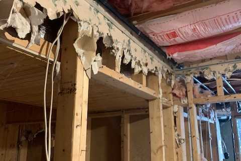 Buying A Holbrook NY Foreclosed Home With Mold Growth