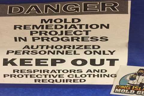 House Flipping on Long Island: Is Mold Contamination Being Addressed Properly? Long Island Mold Guy