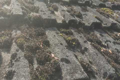 Roof Cleaning Dreghorn Experienced Local Roof Cleaners Will Take Care Of Your Residential Or..