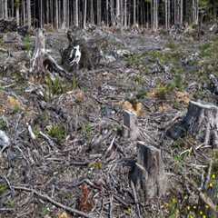 The Impact of Climate Change on Environmental Conservation in Franklin County, WA