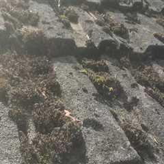 Seafield Roof Cleaning Call For A Free Quote Today Professional Roof Cleaners  Residential And..