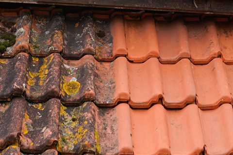 Roof Cleaning Leith Need Reliable Local Roof Cleaners That Can Take Care Of Your Commercial Or..