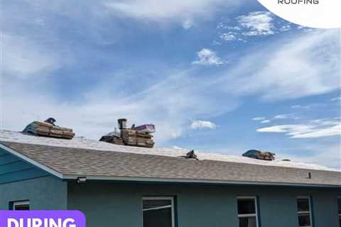Exploring the Natural Oasis: Greenwood Urban Wetlands in Orlando, FL - Gravity Roofing, LLC