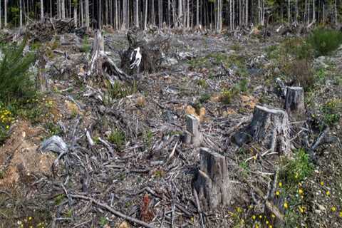 The Impact of Climate Change on Environmental Conservation in Franklin County, WA