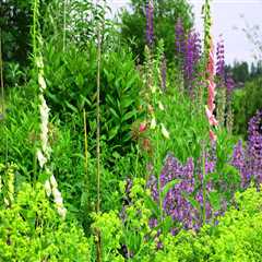 The Importance of Green Spaces and Community Gardens in Douglas County, Nebraska