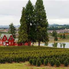 Promoting Public Safety in Washington County, Oregon