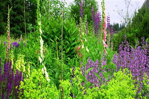 The Importance of Green Spaces and Community Gardens in Douglas County, Nebraska