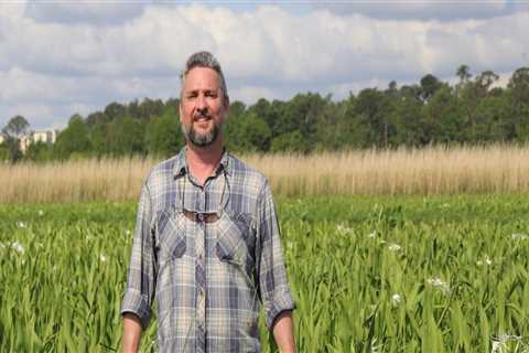 Discovering the World of Free Publications in Baldwin County, Alabama