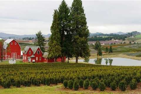 Promoting Public Safety in Washington County, Oregon