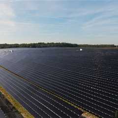 The Advantages of Switching to Renewable Energy in Leon County, Florida