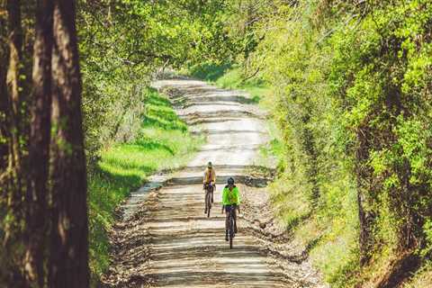The Importance of Tracking Your Progress in Walking Events in Harris County, Texas