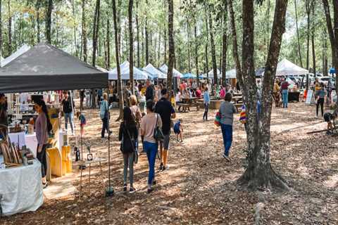 Exploring the Annual Walking Events in Harris County, Texas