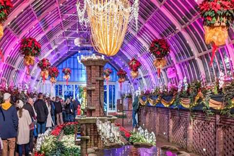 The Ultimate Guide to the Central Pennsylvania Home and Garden Show