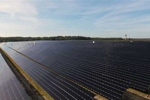 The Advantages of Switching to Renewable Energy in Leon County, Florida
