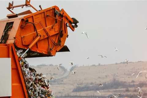 Exploring Recycling Programs and Resources in Weld County, Colorado