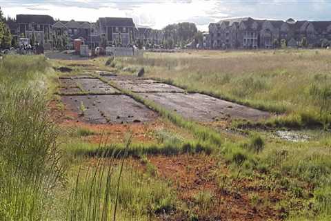 The Synergy of Aviation and Agriculture in Southeastern Washington