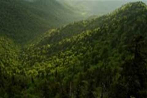 Preserving the Beauty of Northeast Tennessee
