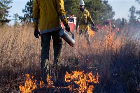 The Impact of Fire Services' Community Outreach Programs in Morris County, New Jersey