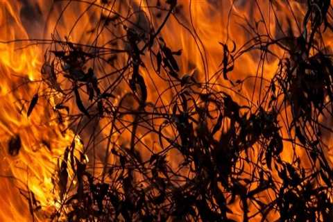 The Importance of Open Burning Restrictions in Morris County, New Jersey