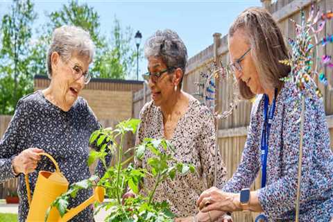 Engaging Senior Citizens in Southeast South Carolina: The Power of Community Projects