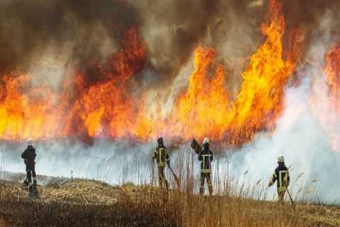 The Importance of Reporting Emergencies in Morris County, New Jersey