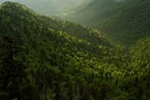 Finding Balance: Sustainable Tourism in Northeast Tennessee