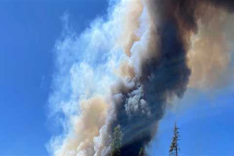 The Comprehensive Guide to Filing a Complaint with the Labor Commissioner in Deschutes County,..