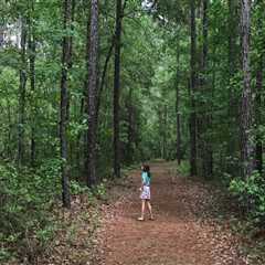 Exploring Lowcountry South Carolina: The Best Outdoor Retailers for Hiking and Backpacking Gear