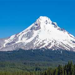The Importance of Selecting the Right Board Members for Nonprofit Organizations in Clackamas County,..