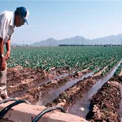 Preserving Pinal County, Arizona: The Role of Foundations in Environmental Conservation