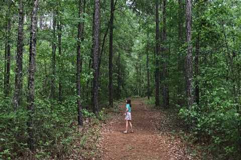 Exploring Lowcountry South Carolina: The Best Outdoor Retailers for Hiking and Backpacking Gear