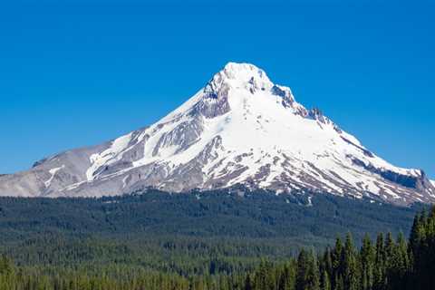 The Importance of Selecting the Right Board Members for Nonprofit Organizations in Clackamas County,..