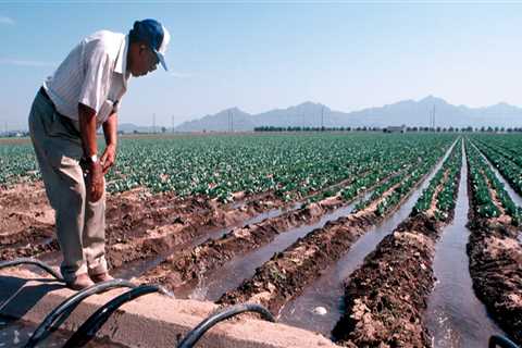 Preserving Pinal County, Arizona: The Role of Foundations in Environmental Conservation