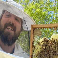 Beekeeping in McDowell County, North Carolina: A Comprehensive Guide for Beginners
