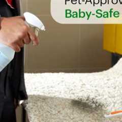 Carpet Cleaning Long Island, NY · Saturday, Jun 14 📸
