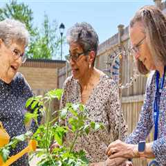The Importance of Community Services for Seniors in Southern Maryland