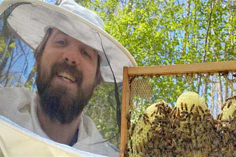 Beekeeping in McDowell County, North Carolina: A Comprehensive Guide for Beginners
