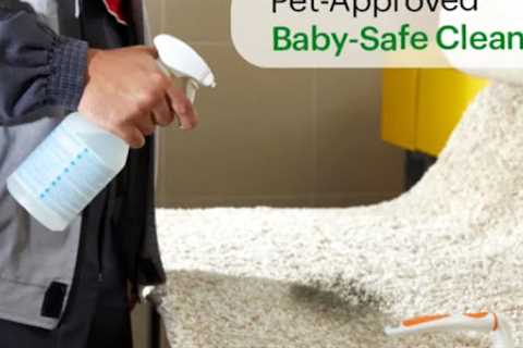 Carpet Cleaning Long Island, NY · Saturday, Jun 14 📸