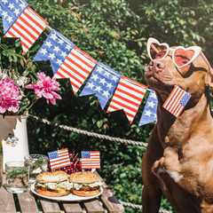 Friday Footnotes: America Day Weekend Reading | 7.4.25