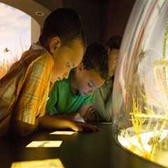 Discovering the Fascinating History and Diverse Communities of Kent County, Michigan