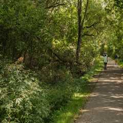 The Vital Role of Transportation in Kent County, Michigan
