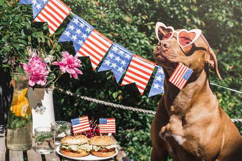 Friday Footnotes: America Day Weekend Reading | 7.4.25
