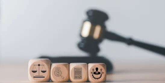 Nuclear Winter:  The Post-Verdict Battle in Employment Cases