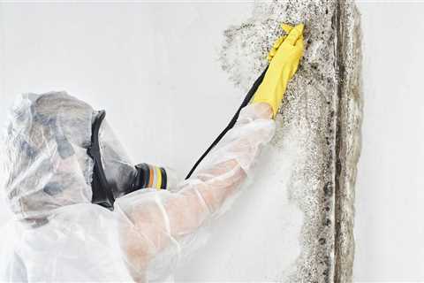 Mesa Mold Remediation: Bloque Restoration's Proven Process